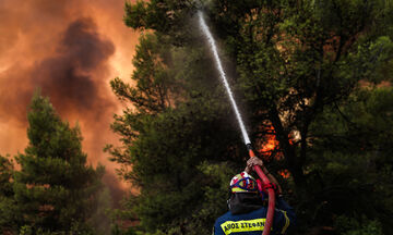 Πυρκαγιές: Στο έλεος της φωτιάς η βόρεια Αττική, εκκενώνονται χωριά σε Ηλεία και Εύβοια (live)