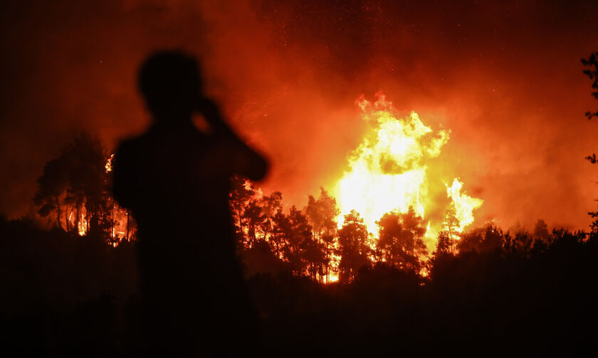 Φωτιά στην Εύβοια: Στους 631 οι διασωθέντες από παραθαλάσσια χωριά