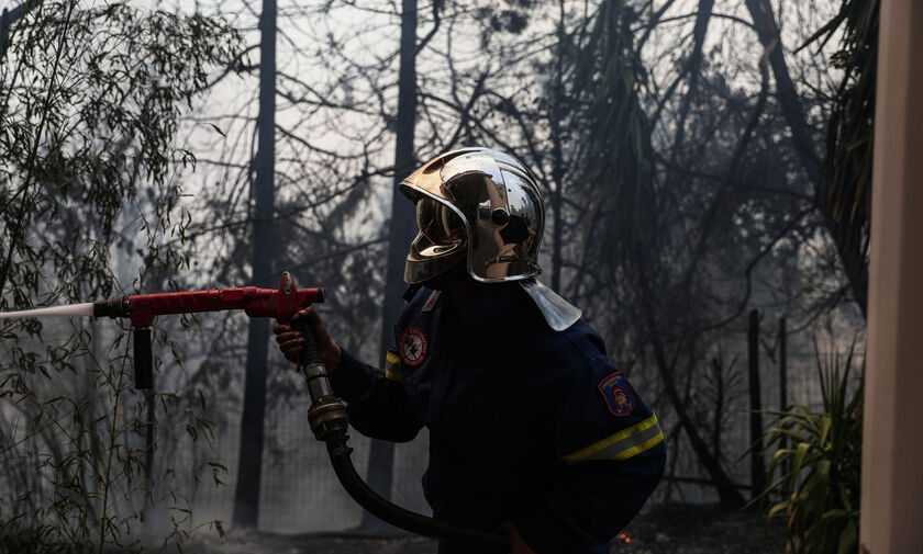 Πυρκαγιά στην Αττική: Κάηκε το Βασιλικό Κτήμα στο Τατόϊ
