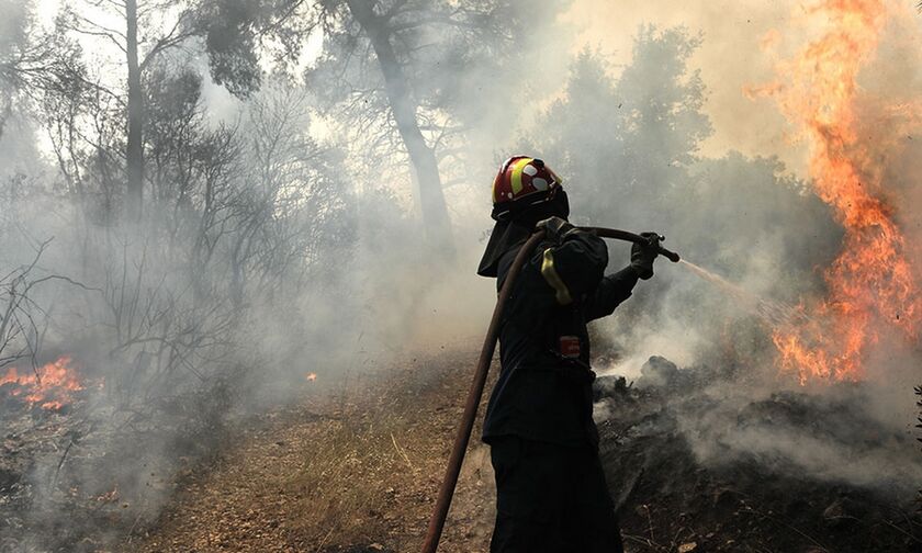 Σύλληψη 43χρονου για εμπρησμό στο Κρυονέρι (vid)