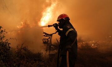 Δύσκολη η νύχτα στην Εύβοια - Ενισχύονται οι δυνάμεις πυρόσβεσης (vids)