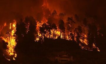 Ακόμη μία νύχτα μάχης με τις φλόγες - Πάνω από 650.000 στρέμματα έγιναν στάχτη