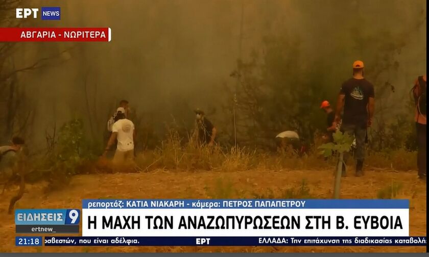 Η μάχη των αναζωπυρώσεων στη Βόρεια Εύβοια (vid)