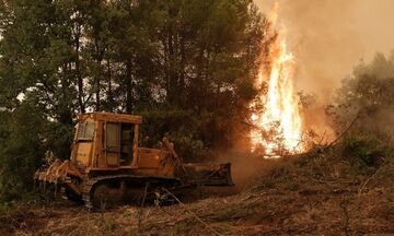 Πυρκαγιές: Στις 17:00 η ανακοίνωση των μέτρων στήριξης των πυρόπληκτων