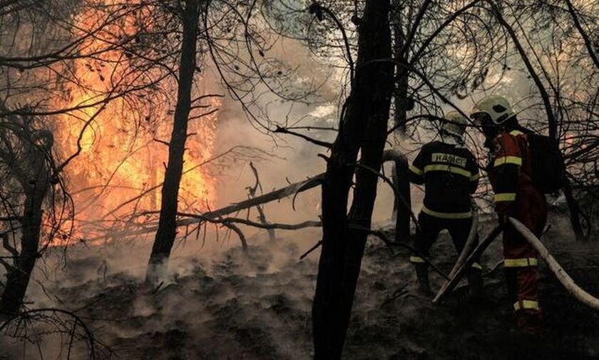 Πύρινος εφιάλτης στη Γορτυνία - Αναζωπυρώσεις στην Εύβοια - Πάνω από 900.000 στρέμματα η καταστροφή