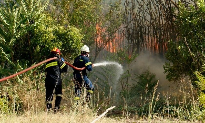 Ανατολική Μάνη: Σε τρία σημεία υπάρχουν ακόμα εστίες φωτιάς