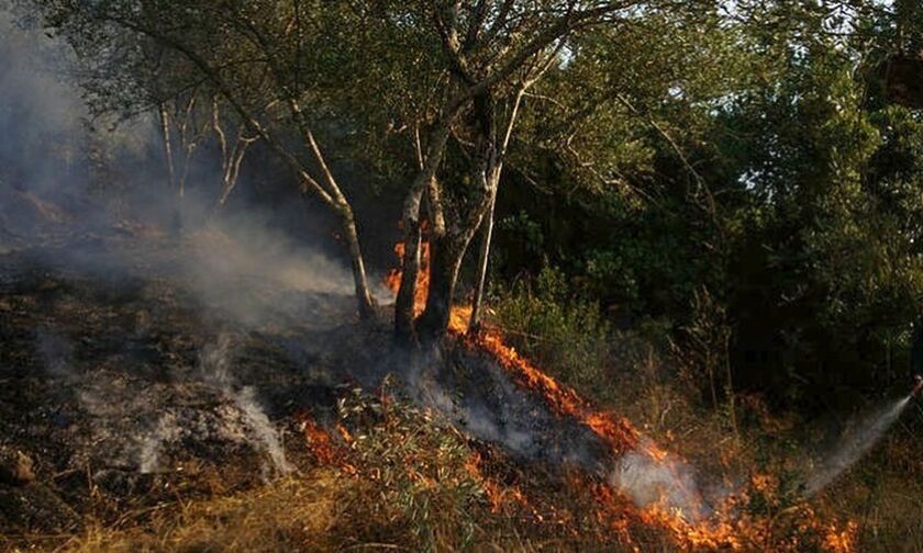 Πύργος: Μικρές εστίες φωτιάς στις περιοχές Κρυονέρι, Λάσδικα, Μηλιές και Δούκας