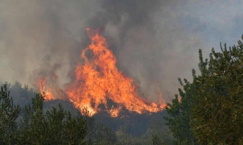 Ανατολική Μάνη: Υπό μερικό έλεγχο φωτιά στην περιοχή Δρυάλια Λακωνίας