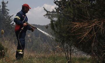 Χαλκιδική: Τέθηκε υπό μερικό έλεγχο η πυρκαγιά στον Παρθενώνα