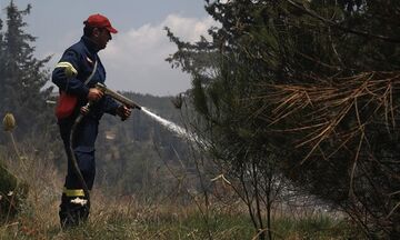 Χαλκιδική: Τέθηκε υπό μερικό έλεγχο η πυρκαγιά στον Παρθενώνα