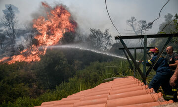 Κερατέα: Η φωτιά απειλεί πάλι σπίτια, ανησυχία για τον Εθνικό Δρυμό Σουνίου (vid)