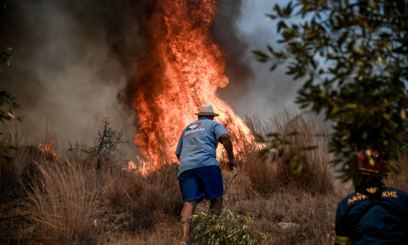 Πυρκαγιά στα Βίλια: Δραματική η κατάσταση, εκκενώθηκαν 5 οικισμοί - Σε ύφεση η φωτιά στην Κερατέα 