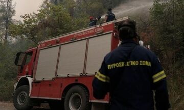 Φωτιά στο Παγγαίο όρος - Δεν απειλούνται σπίτια (pic)