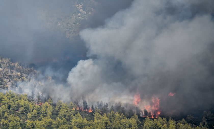 Πυρκαγιές: Σε λειτουργία δυο πλατφόρμες για αποζημιώσεις και δωρεές στους πυρόπληκτους