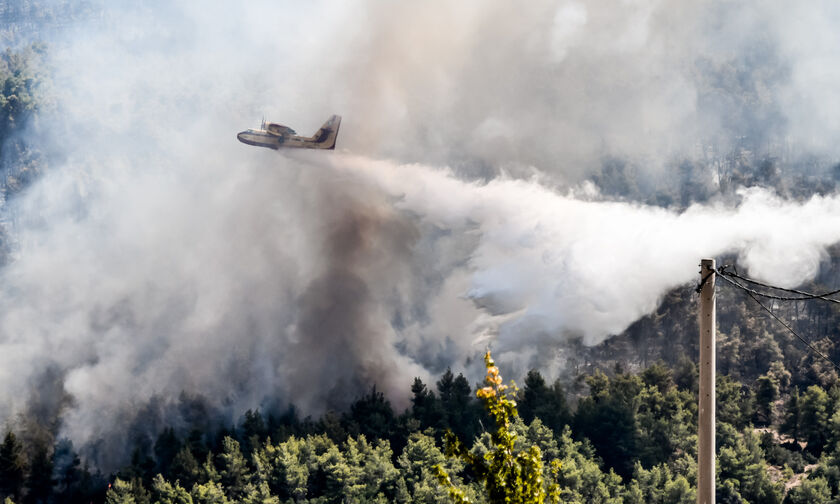 Βίλια: Καλύτερη η εικόνα της πυρκαγιάς - Φόβος για αναζωπυρώσεις 