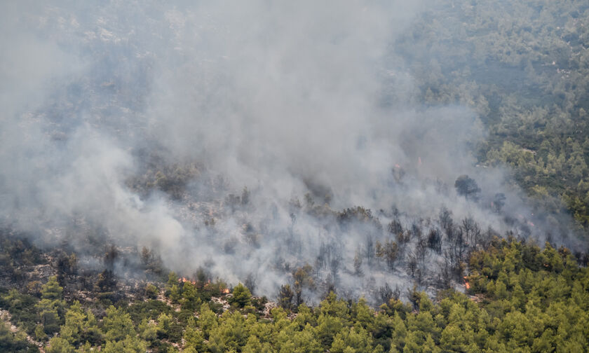 Βίλια: Η πυρκαγιά κινείται προς το Παλαιοχώρι - Στη «μάχη» και εναέρια μέσα 