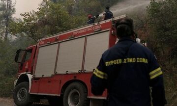 Φωτιές: Μια σύλληψη για εμπρησμό στην Κεφαλονιά