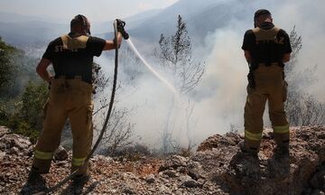 Βίλια: Στο νότιο μέτωπο έχουν επικεντρωθεί όλες οι δυνάμεις για μην επεκταθεί η φωτιά στα Μέγαρα