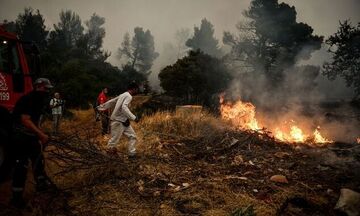Συναγερμός στα Βίλια: Νέα φωτιά στην περιοχή Κάζα (vid)