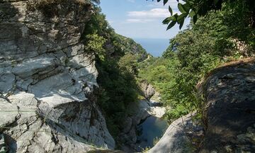 «Λίμνη της Παλιουριάς»: Η κρυφή όαση του δήμου Αγιάς