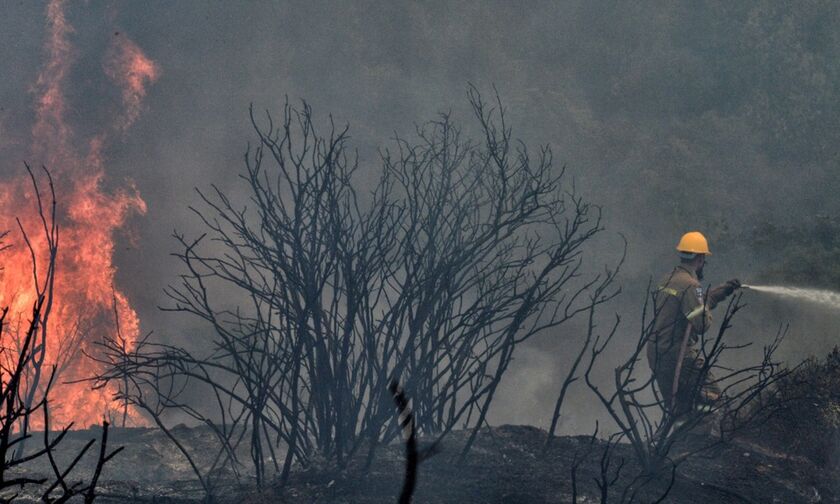 Λαμία: Φωτιά στην κορυφογραμμή της Όρθυος, στη Φθιώτιδα- Φόβοι για το χωριό Λογγίτσι