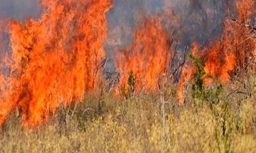 Σέρρες: Συνεχίζεται η μάχη με τις φλόγες στην Αλιστράτη