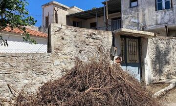 Κυπαρισσία: Παραδόθηκε ο καταζητούμενος Ρουμάνος για τη δολοφονία της Μόνικα (vid)