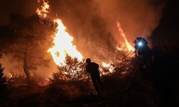 Φωτιά στη Νέα Μάκρη: Καλύτερη εικόνα - Σε γενική επιφυλακή η Πυροσβεστική στην Αττική