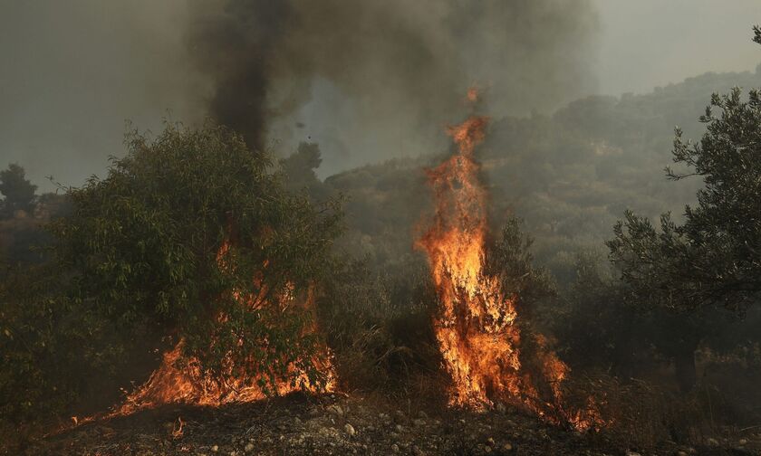 Μάνη: Σε ύφεση πυρκαγιά που εκδηλώθηκε στην περιοχή Αβραμιάνικα