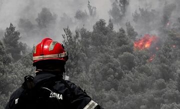 Φωτιά στη Λιαντίνα Λακωνίας