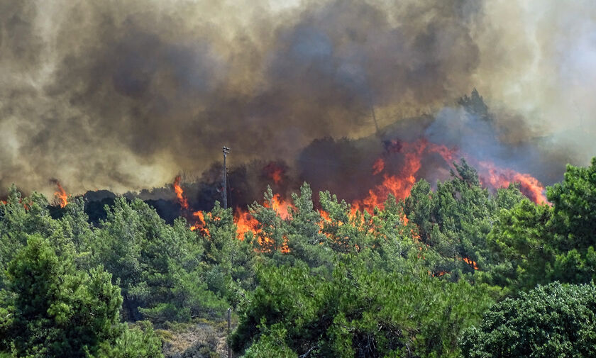 Πυρκαγιές σε δασικές εκτάσεις της Αμαλιάδας και της Ναυπάκτου