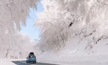 Μοιάζει με παραμύθι ο χιονοσκέπαστος δρόμος στον νομό Φλώρινας!