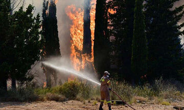 Συλλήψεις και πρόστιμα για 6 πυρκαγιές στην Πελοπόννησο
