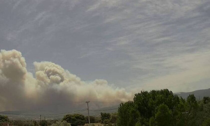 Φωτιά σε μάντρα αυτοκινήτων του ΟΔΔΥ