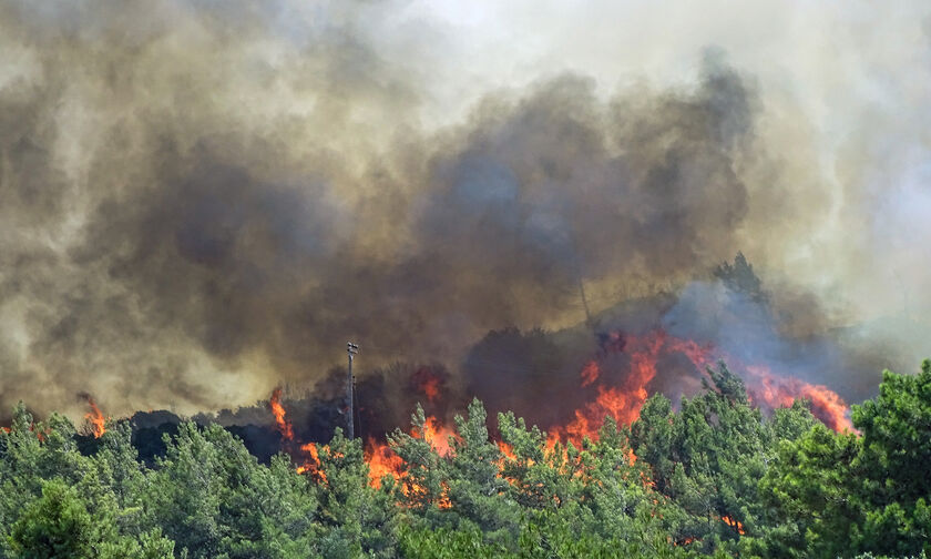 Νότιο Πήλιο: Μάχη με τις φλόγες για τον έλεγχο πυρκαγιάς - Ισχυροί άνεμοι στην περιοχή