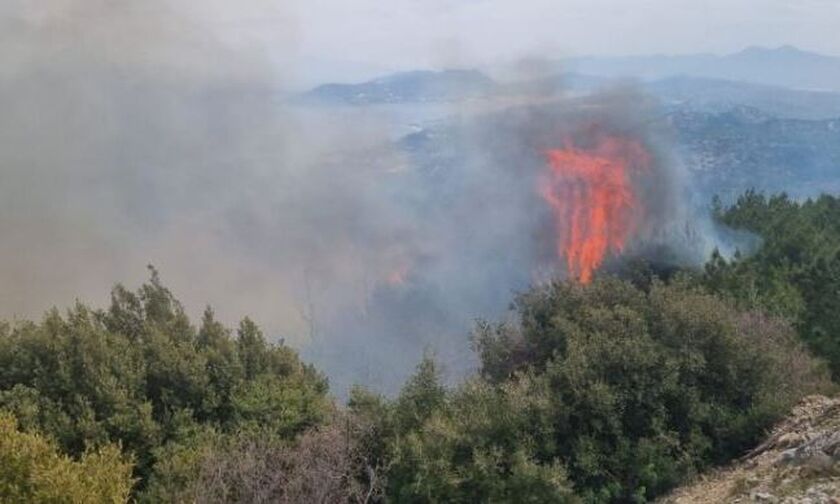 Εύβοια: Δύσκολη νύχτα για το Τραχήλι – Μεγάλη φωτιά προς το χωριό Κρεμαστό