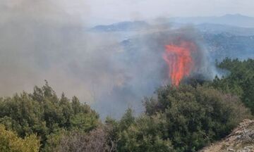 Εύβοια: Δύσκολη νύχτα για το Τραχήλι – Μεγάλη φωτιά προς το χωριό Κρεμαστό