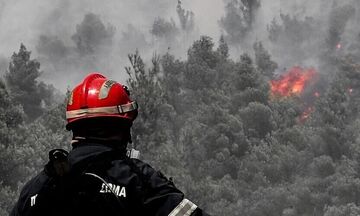 Φωτιά στην περιοχή Λιβαδάκι της Ηλείας