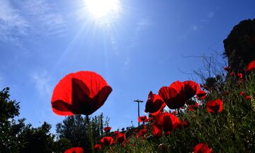 Καιρός: Γενικά αίθριος, με λίγες πρόσκαιρες νεφώσεις