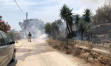 Φωτιά στην Αρτέμιδα: Κοντά στα σπίτια οι φλόγες - Επιχειρούν επίγεια και εναέρια μέσα
