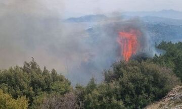 Φωτιά στην Εύβοια: Καίει σε τρία μέτωπα – Εχθρός ο άνεμος χωρίς εναέρια μέσα