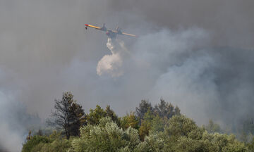 Εύβοια: Σε εξέλιξη πυρκαγιά στον Άγιο, ισχυροί άνεμοι στην περιοχή