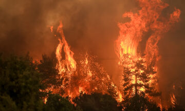 Πυρκαγιές σε τρία μέτωπα: Μαίνονται φωτιές σε Κάλαμο, Σχηματάρι και Φωκίδα