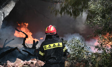 Πυρκαγιές: Εκκενώνεται η Λάττα Ηλείας, δύσκολη η κατάσταση στην Άμφισσα, φωτιά και στη Ζάκυνθο