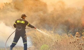 Φωτιά: Μεγάλη πυρκαγιά στο Κρανίδι Αργολίδας 