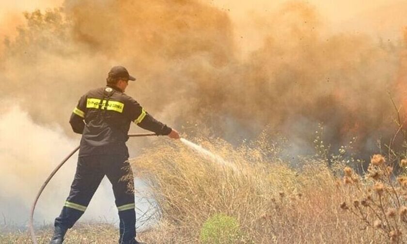 Φωτιά στην περιοχή Γιάλτρα της Εύβοιας