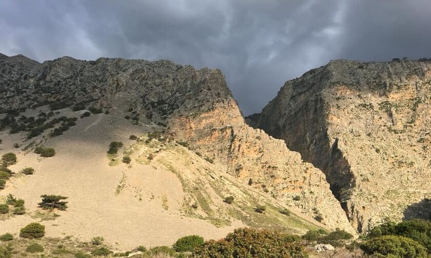 Το επικίνδυνο φαράγγι του Χα με ακανθωτούς ποντικούς