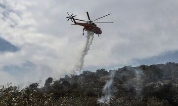 Φωτιά στην Κάρυστο, εξαπλώθηκε γρήγορα λόγω των δυνατών ανέμων!