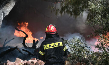 Φωτιές: Αναζωπύρωση του μετώπου στη Σάμο - Σκληρή μάχη της Πυροσβεστικής σε πέντε περιοχές