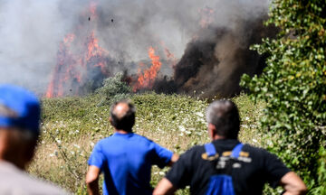 Πυρκαγιά στην Καλλιθέα Αχαϊας, εκκενώνονται οι οικισμοί Πλατανόβρυση και Αγία Παρασκευή! 
